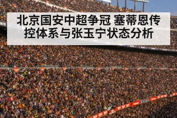 football stadium crowd